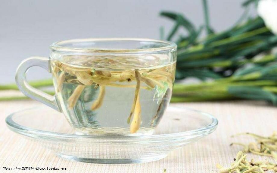 麦冬金银花泡水喝的功效 麦冬金银花泡水喝的功效