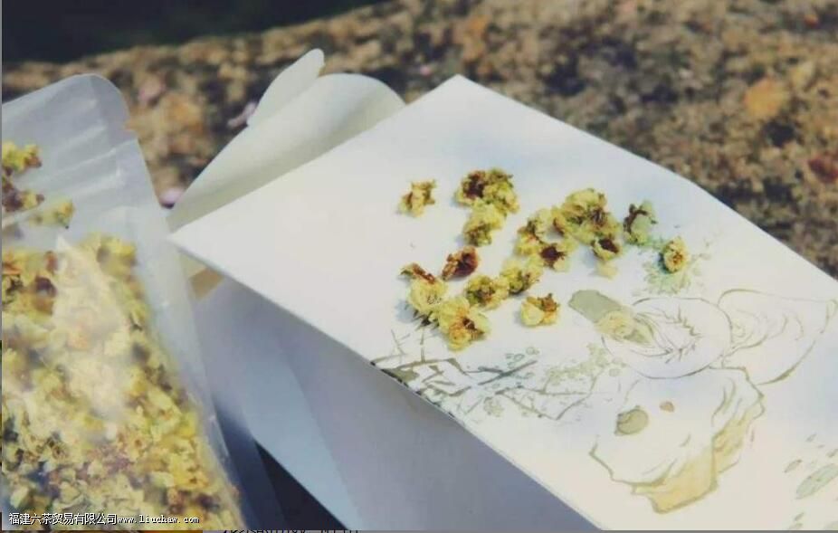 梅花茶的功效与作用 梅花茶的功效与作用