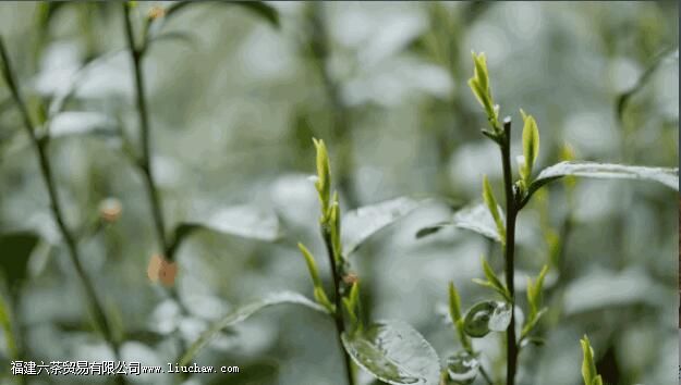 ��ǰ��ȶ������кô���