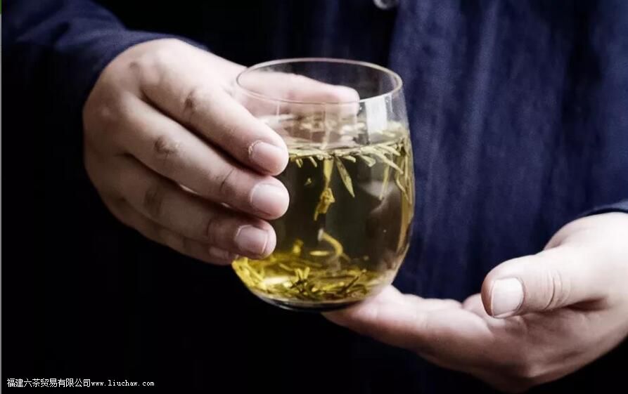 茉莉花茶能天天喝吗 茉莉花茶能天天喝吗