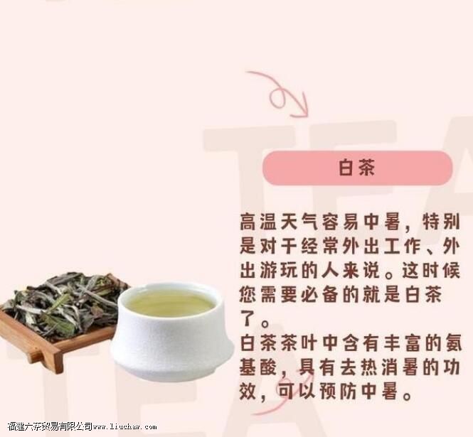 ���������ʺϺ�ʲô��