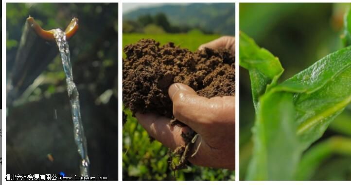 �Ჴ�����Ĺ�Ч������