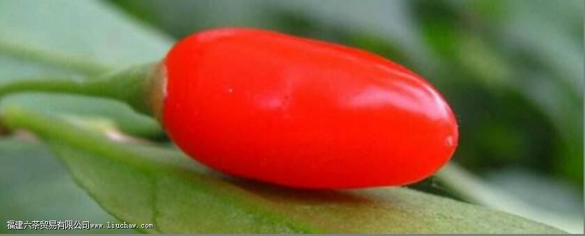 �������ԭ���Ĺ�Ч������