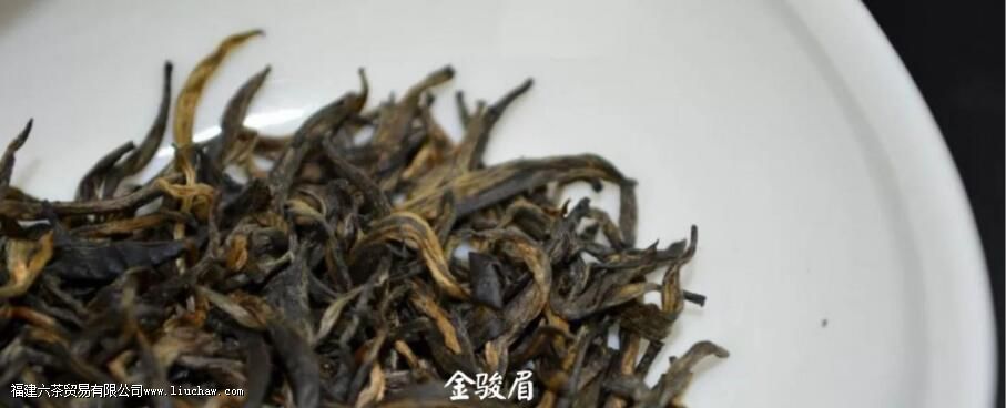 Ů�˺Ƚ�ü�����