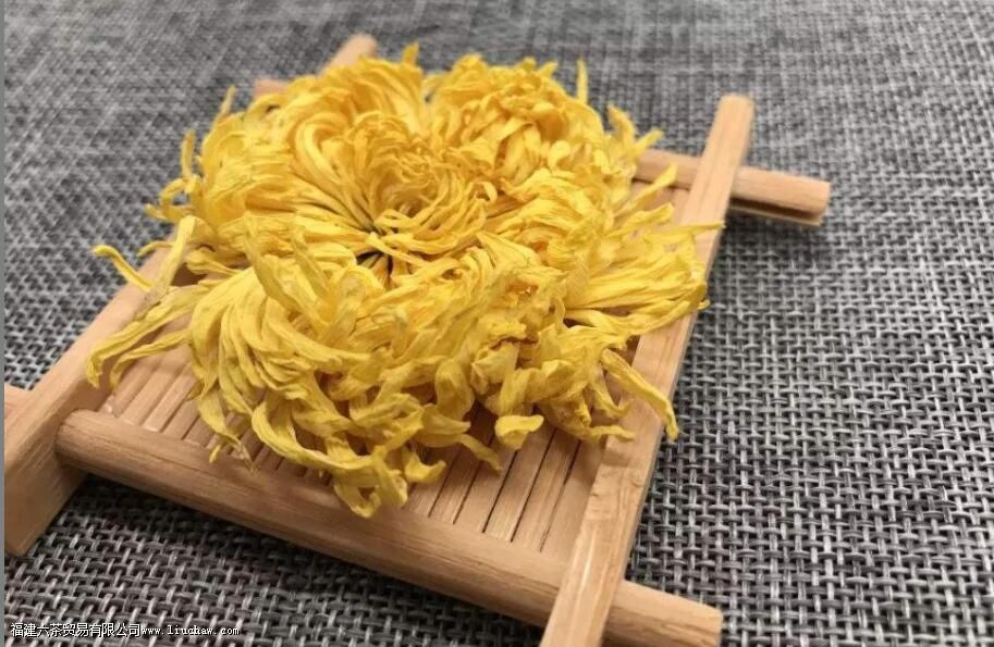 女人喝金丝菊的好处 女人喝金丝菊的好处