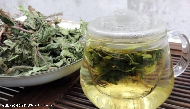 女人喝蒲公英茶的好处和坏处 女人喝蒲公英茶的好处和坏处