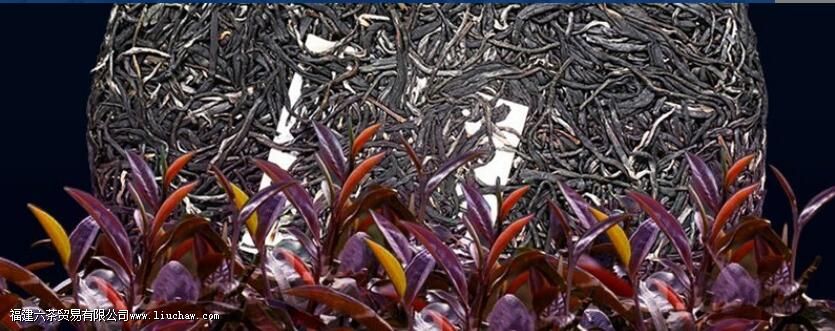 Ů�˺��Ͼ��Ĺ�Ч