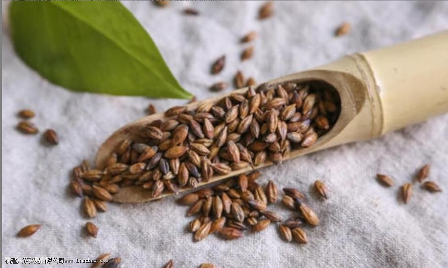 女性喝大麦茶的好处和坏处 女性喝大麦茶的好处和坏处