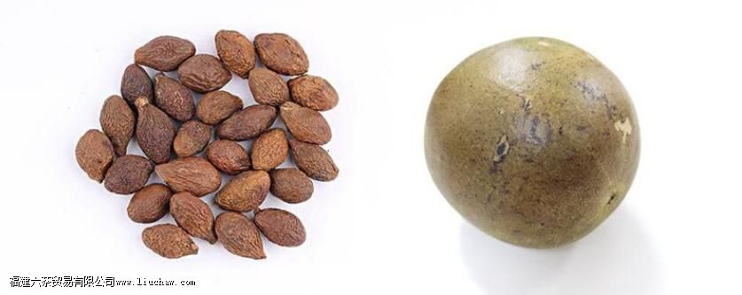 胖大海加罗汉果泡水喝的功效 胖大海加罗汉果泡水喝的功效