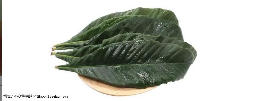 ������Ҷ����ˮ�ȵĹ�Ч