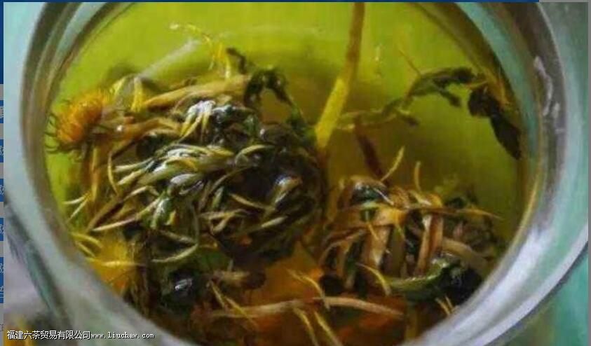 蒲公英陈皮茶的功效与作用 蒲公英陈皮茶的功效与作用