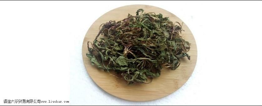 蒲公英和苦丁茶的功效与作用 蒲公英和苦丁茶的功效与作用