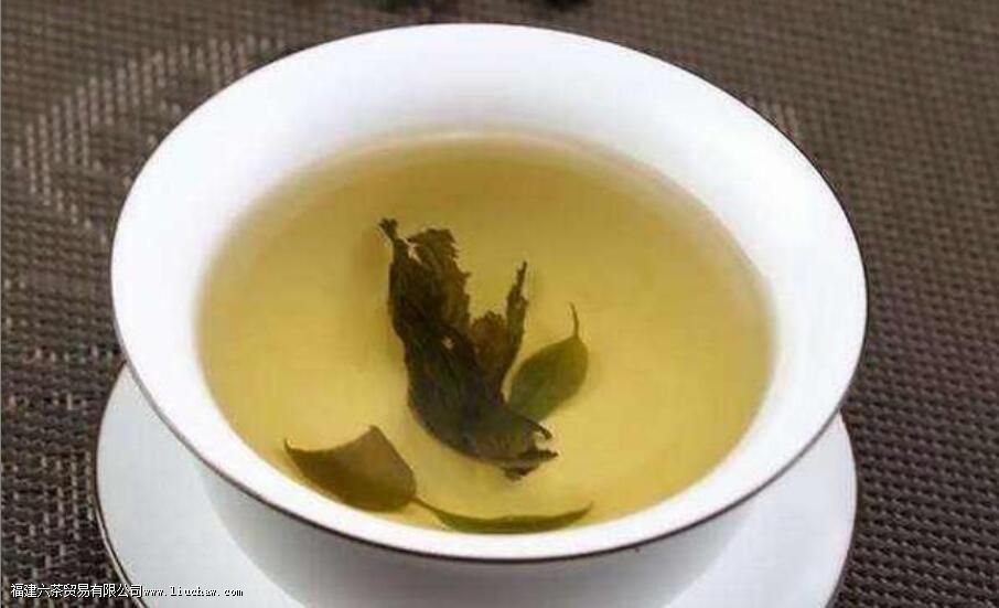 蒲公英和苦丁茶的功效与作用 蒲公英和苦丁茶的功效与作用