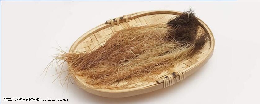 蒲公英桑叶玉米须茶的功效 蒲公英桑叶玉米须茶的功效