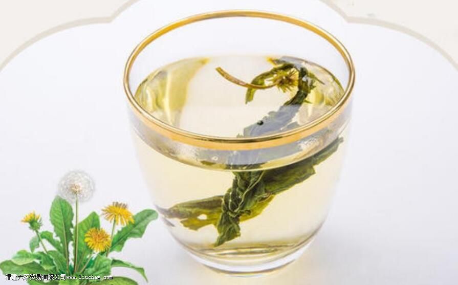 蒲公英乌龙茶的功效与禁忌 蒲公英乌龙茶的功效与禁忌