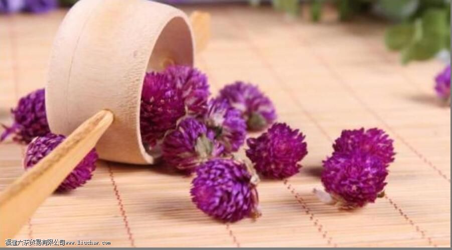 ǧ�պ���ˮ�ȵĹ�Ч