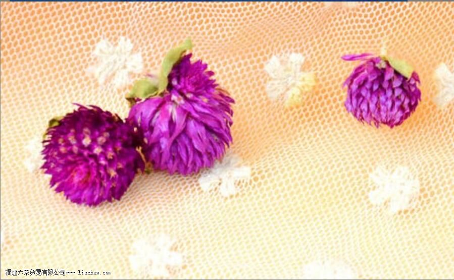 ǧ�պ���ˮ�ȵĹ�Ч