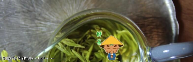 青茶和绿茶的功效区别 青茶和绿茶的功效区别