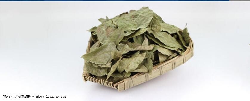 ��Ǯ��Ҷ����ʲô��Ч