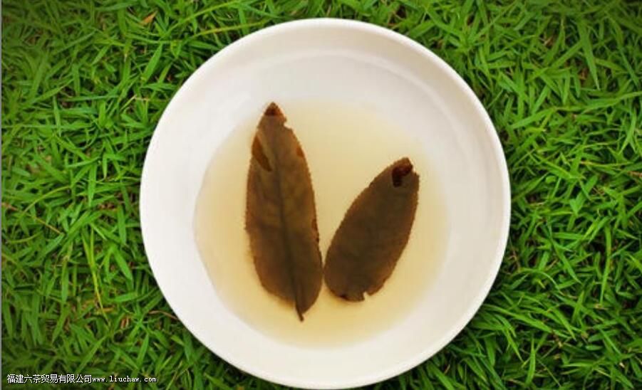 ��Ǯ��Ҷ����ʲô��Ч