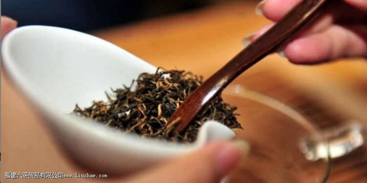 �ﶬ���ֿ���������������ֲ�