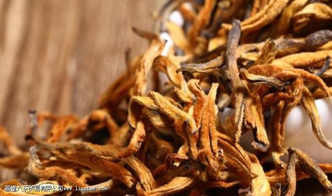 �ﶬ���ֿ���������������ֲ�