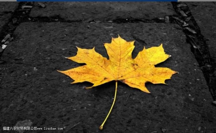 ���������ʲôʳ���