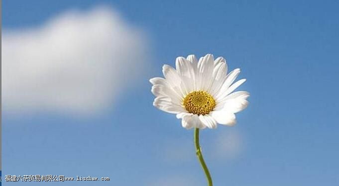 ���������ʲôʳ���