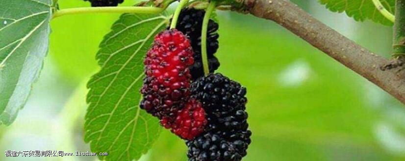 �˲ξջ�ɣ�ز�Ĺ�Ч