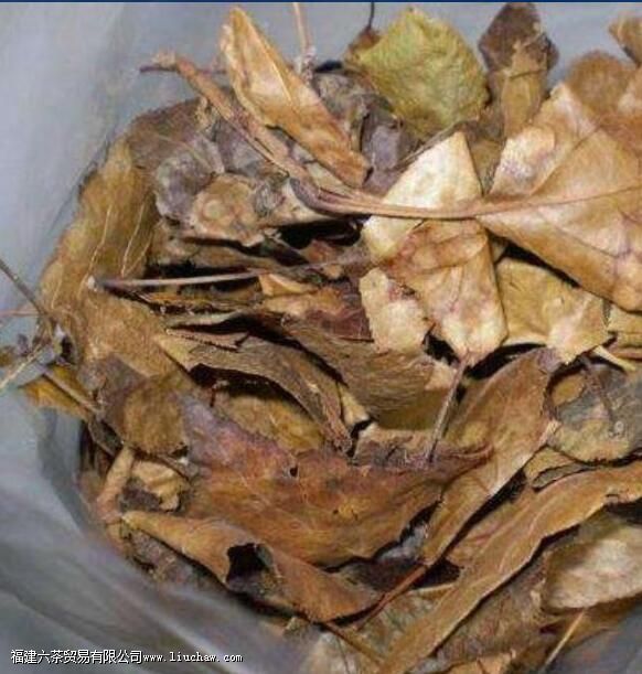 ��Ƥ�޲�Ҷ�Ĺ�Ч����