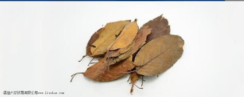 山楂叶茶的功效与作用 山楂叶茶的功效与作用