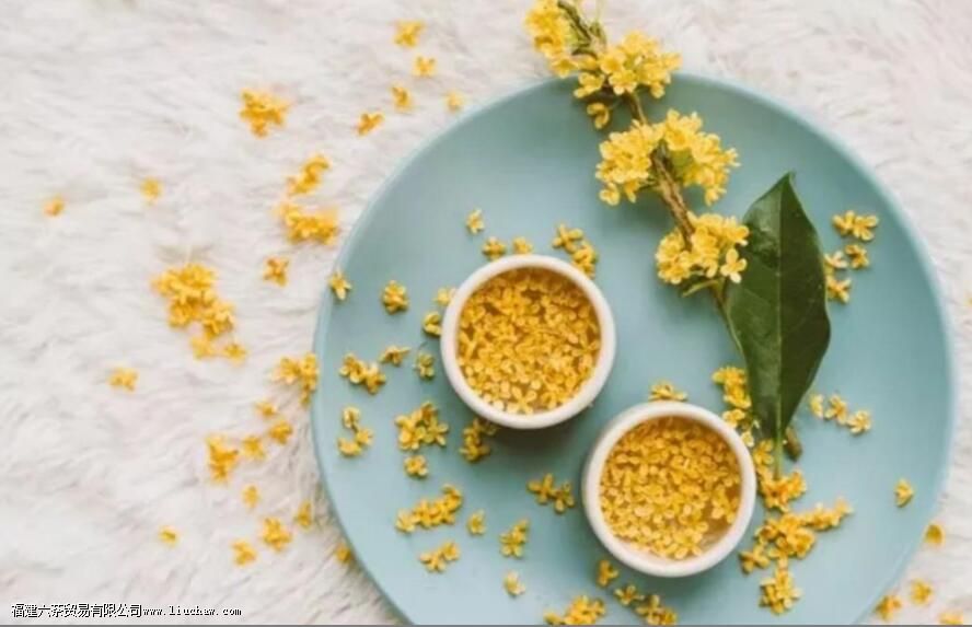 什么茶是热性的暖胃的 什么茶是热性的暖胃的