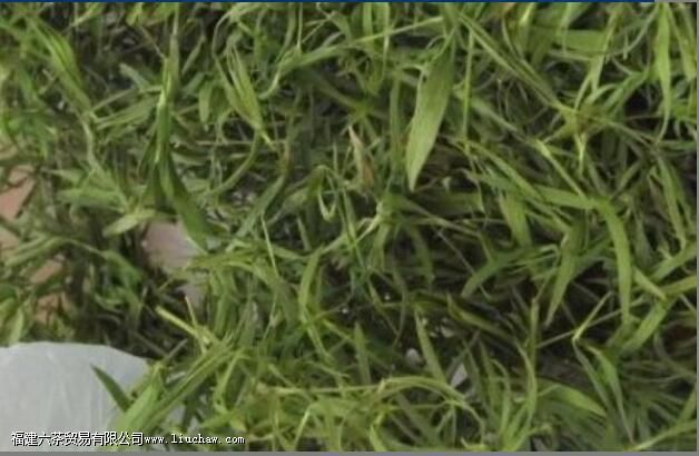 ʯ���Ĺ�Ч������ ��ʯ���ĺô�