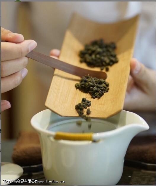 �ʺ�Ů���ȵ�������