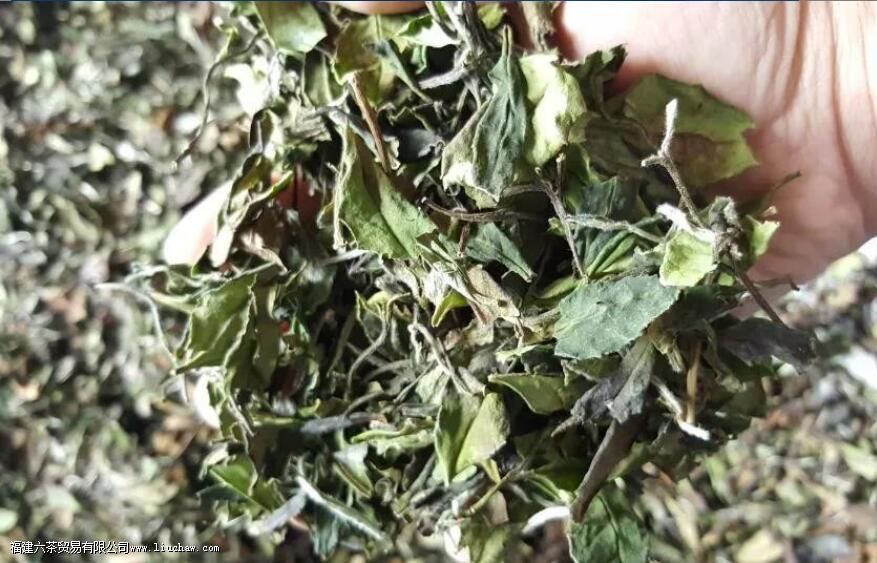 ��ü�����ײ蹦Ч