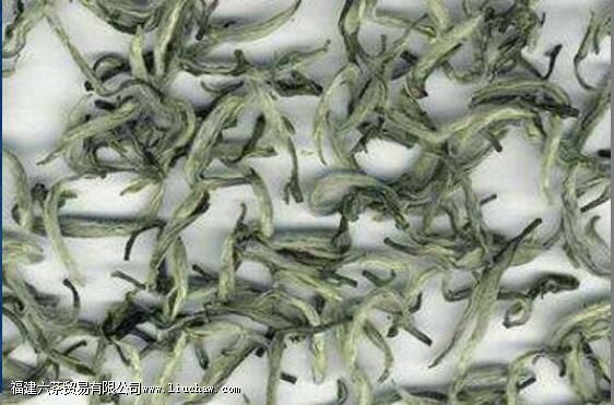 松阳银猴的功效与作用 松阳银猴的功效与作用