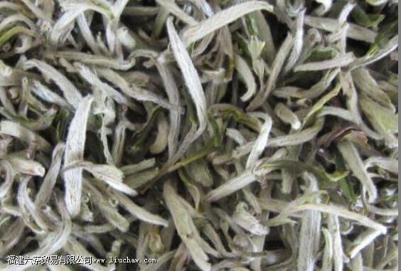 松阳银猴的功效与作用 松阳银猴的功效与作用