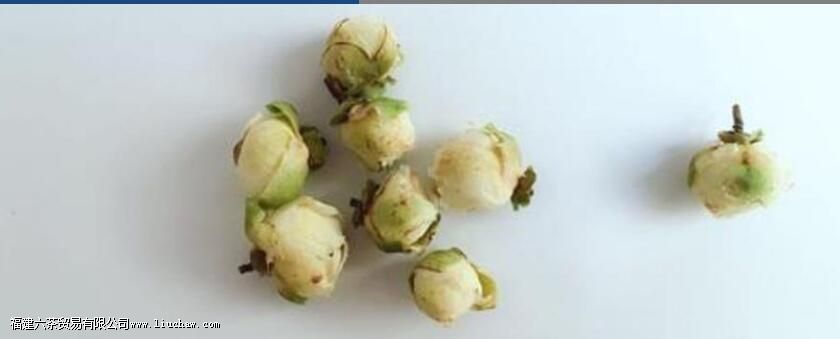 ��ɽѩ������Ĺ�Ч�����ü�����