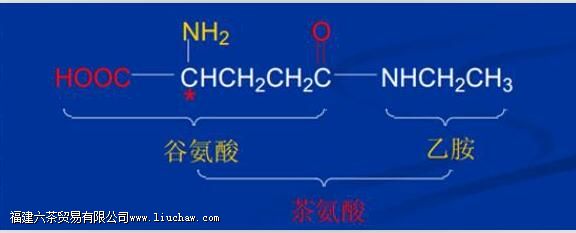 为什么喝茶能提高人体免疫力 为什么喝茶能提高人体免疫力