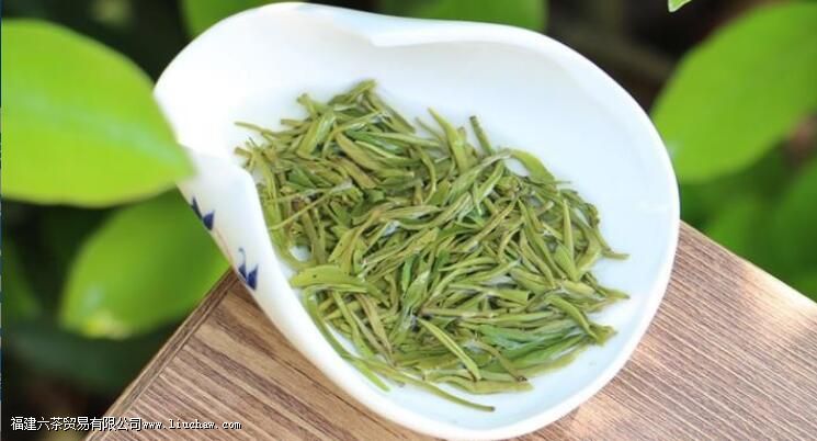 沩山毛尖茶的功效与作用 沩山毛尖茶的功效与作用