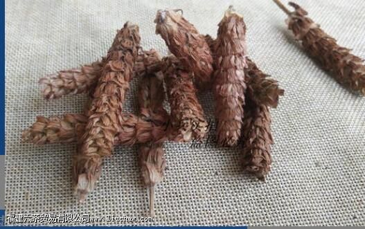 �Ŀݲݾջ���Ĺ�Ч������