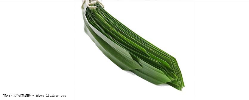 ����Ҷ��ˮ��Ч