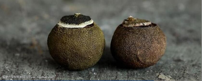 С��̲�����