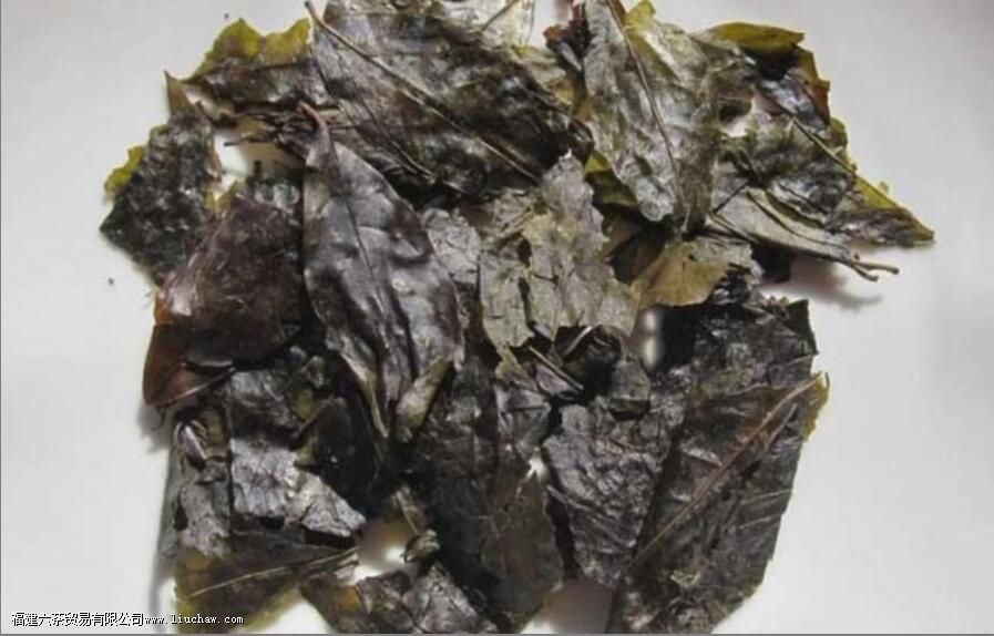 小叶苦丁发酵茶的功效与作用 小叶苦丁发酵茶的功效与作用