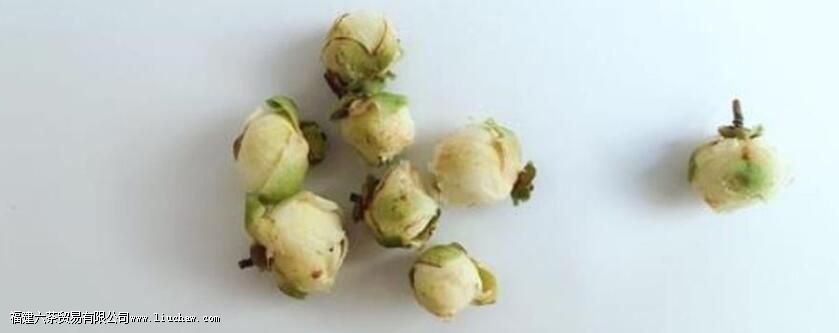 ѩ�����������빦Ч��ô��