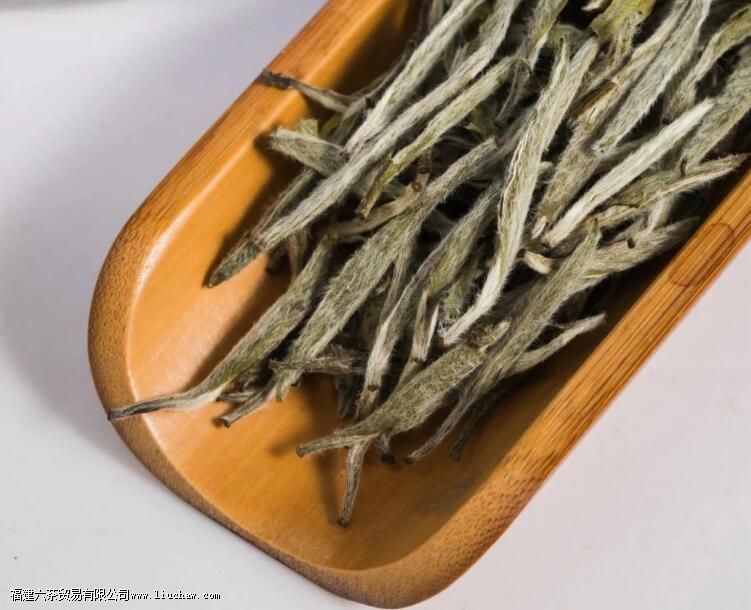 ����ײ�Ĺ�Ч������