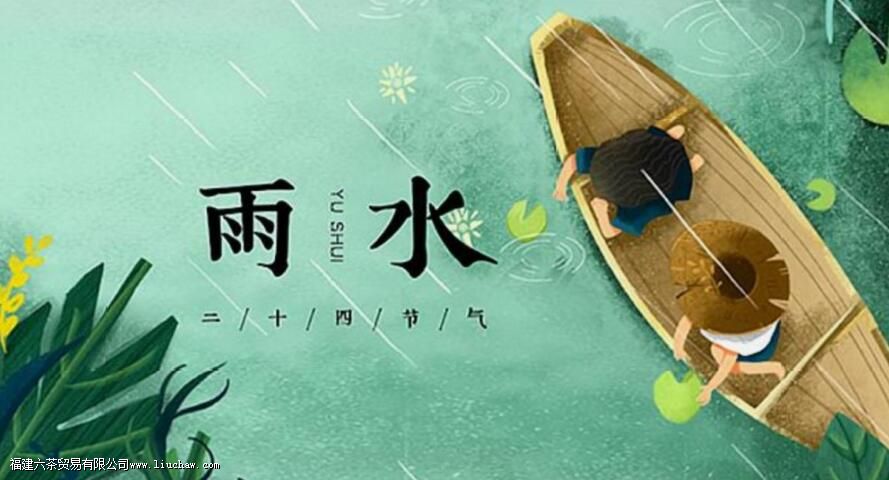 雨水喝什么茶 雨水喝什么茶