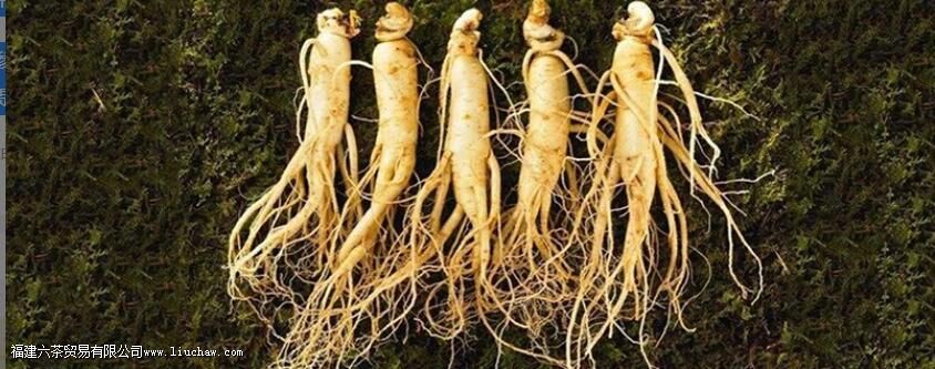 ����ɽ�˲ι�Ч