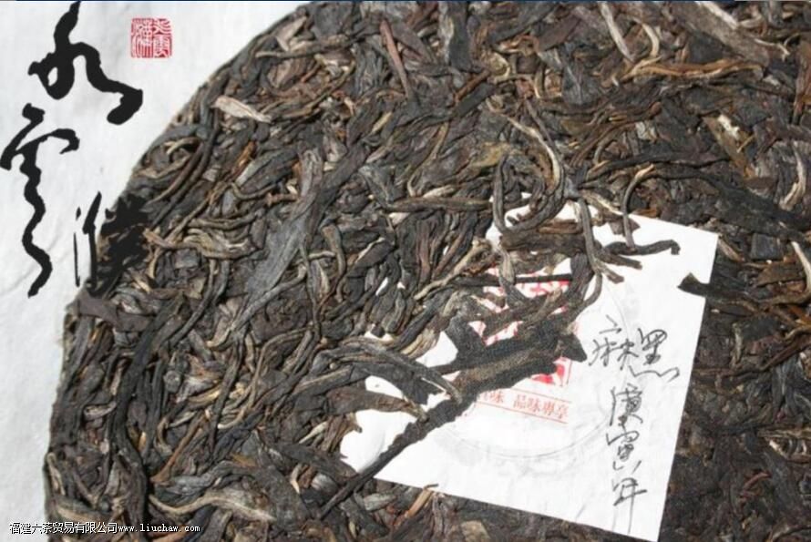 �������˺�ʲô�����