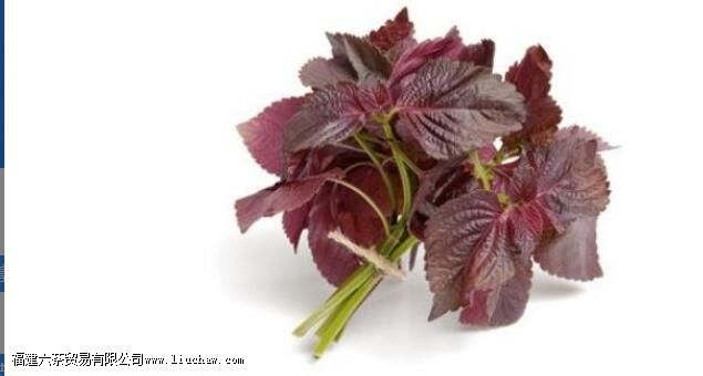 ���յĹ�Ч������